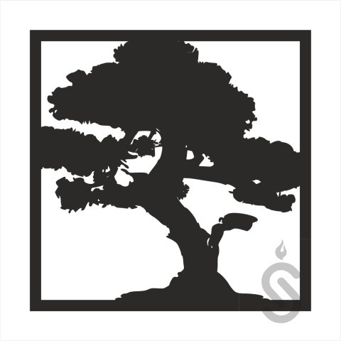 Drzewo kwadrat - Baza pod Chrobotek Drzewo kwadrat - Baza pod Chrobotek
