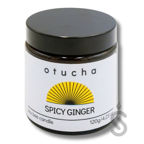 Spicy Ginger Spicy Ginger