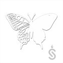 Motyl - Baza pod Chrobotek