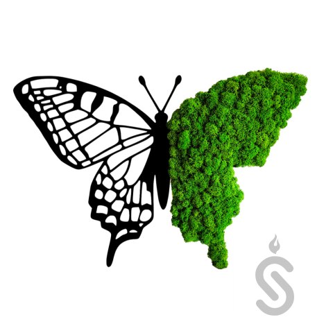 Motyl - Baza pod Chrobotek Motyl - Baza pod Chrobotek