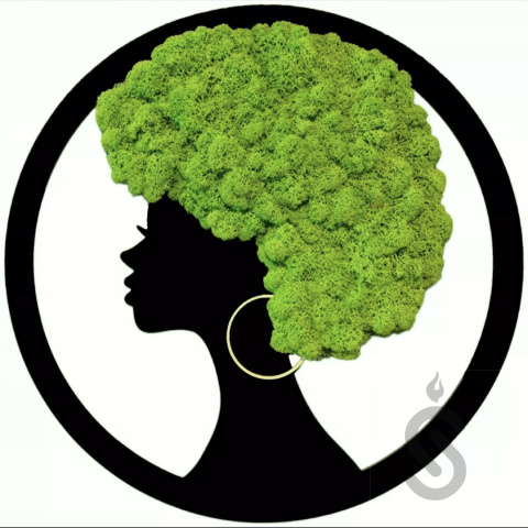 Afroamerykanka - Baza pod Chrobotek Afroamerykanka - Baza pod Chrobotek