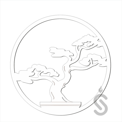Bonsai koło - Baza pod Chrobotek Bonsai koło - Baza pod Chrobotek