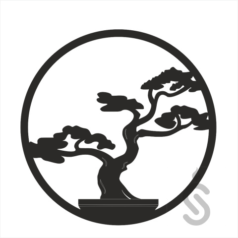 Bonsai koło - Baza pod Chrobotek Bonsai koło - Baza pod Chrobotek